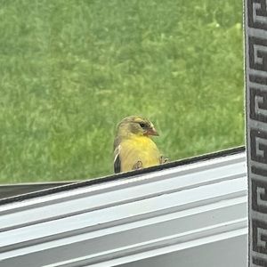 Meet your Posher, Will